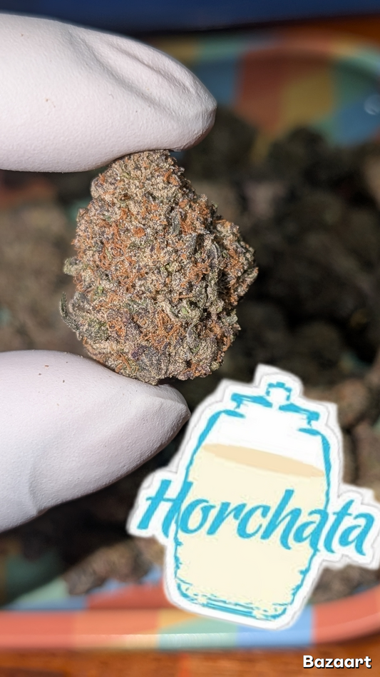 HORCHATA (LOW STOCK)